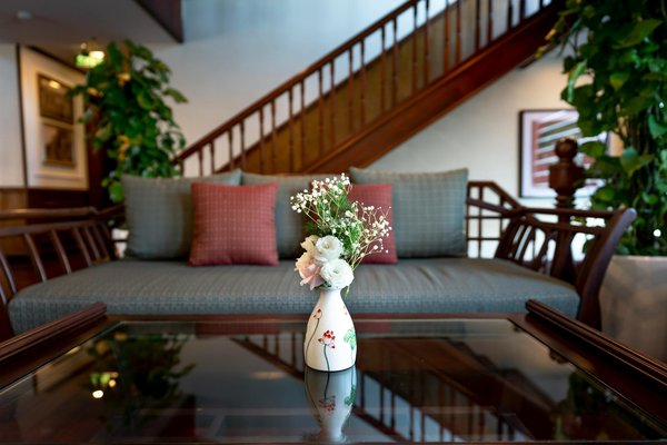 Creating the Ideal Nutritious Meal Plan for Your Overweight Feline: A Comprehensive Guide to Effective Weight Control